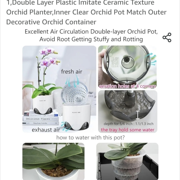 Orchid Pot - Picture 4 of 6